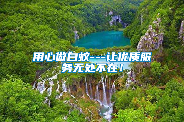 用心做白蟻---讓優(yōu)質(zhì)服務(wù)無處不在!