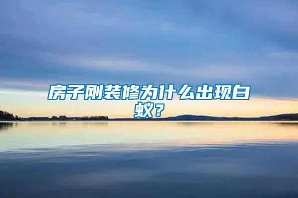 房子剛裝修為什么出現(xiàn)白蟻？