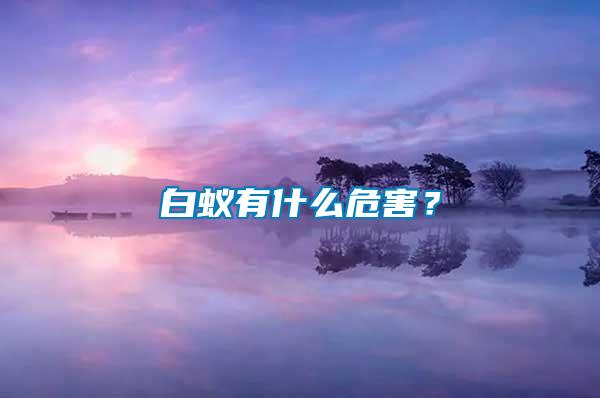 白蟻有什么危害?