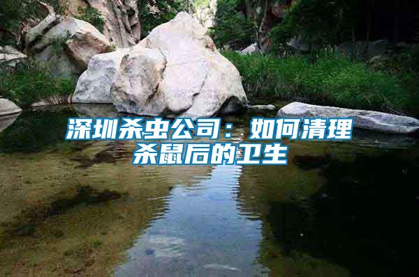 深圳殺蟲公司:如何清理殺鼠后的衛生