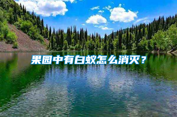 果園中有白蟻怎么消滅？