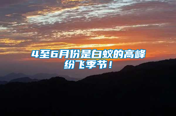 4至6月份是白蟻的高峰紛飛季節!