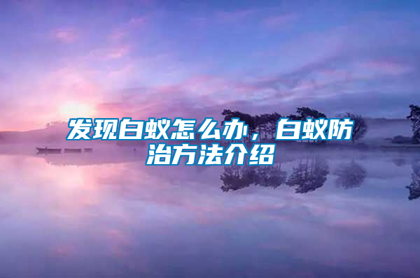 發現白蟻怎么辦，白蟻防治方法介紹