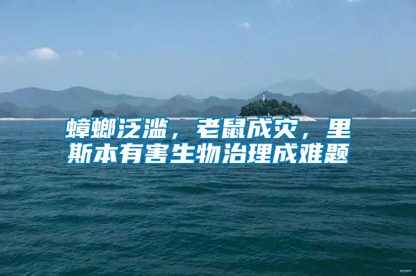 蟑螂泛濫，老鼠成災，里斯本有害生物治理成難題