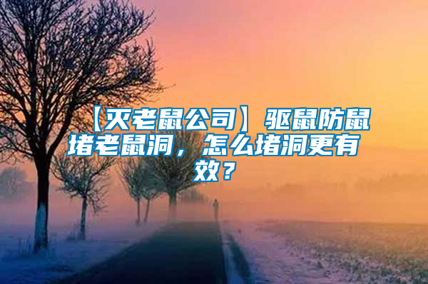 【滅老鼠公司】驅鼠防鼠堵老鼠洞,怎么堵洞更有效?
