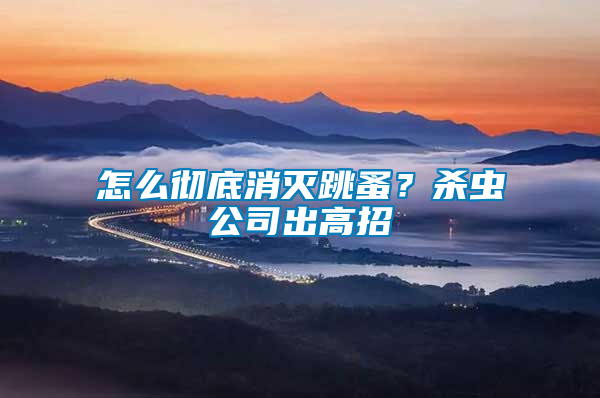 怎么徹底消滅跳蚤？殺蟲公司出高招