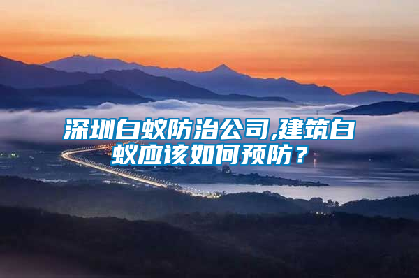 深圳白蟻防治公司,建筑白蟻應該如何預防？