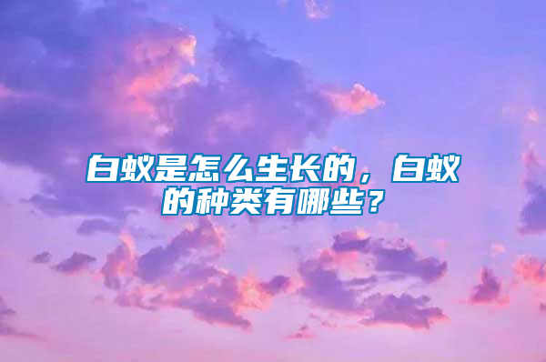 白蟻是怎么生長的,白蟻的種類有哪些?