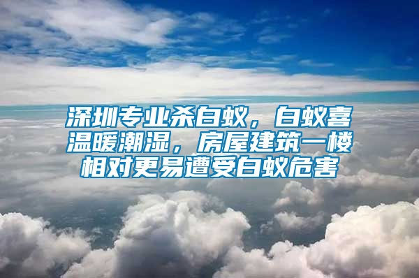 深圳專業殺白蟻，白蟻喜溫暖潮濕，房屋建筑一樓相對更易遭受白蟻危害