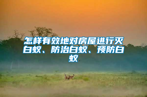 怎樣有效地對房屋進行滅白蟻、防治白蟻、預防白蟻