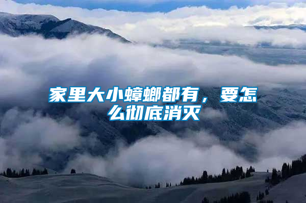 家里大小蟑螂都有,要怎么徹底消滅