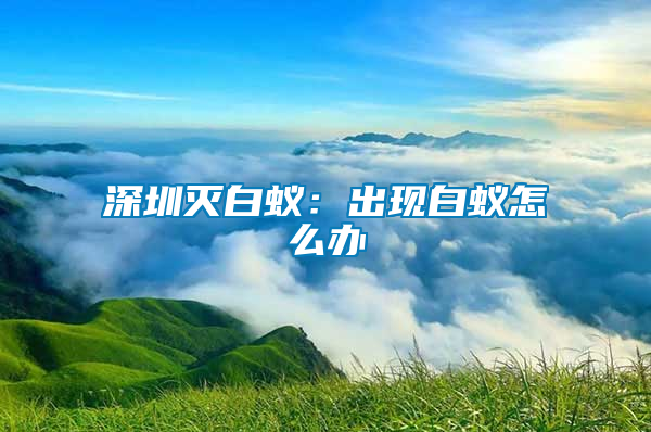 深圳滅白蟻:出現白蟻怎么辦