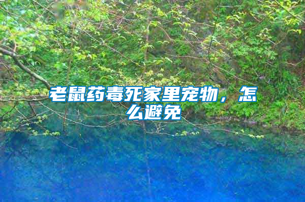 老鼠藥毒死家里寵物,怎么避免