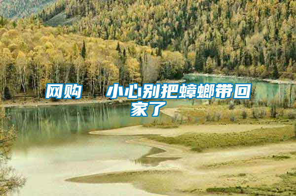 網購 小心別把蟑螂帶回家了