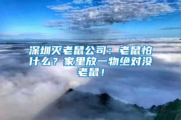 深圳滅老鼠公司：老鼠怕什么？家里放一物絕對(duì)沒(méi)老鼠！