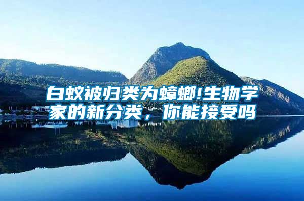 白蟻被歸類為蟑螂!生物學(xué)家的新分類,你能接受嗎