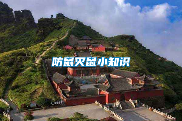 防鼠滅鼠小知識(shí)